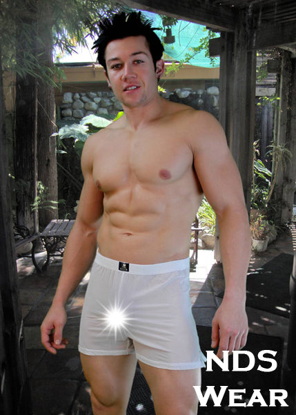 Angelo Mens Sheer Boxer-Boxer Shorts-Nds Wear-Small-White-NDS WEAR