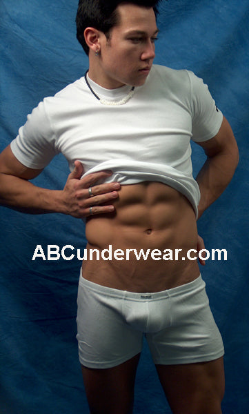 Cotton Low Rise Boxer Brief-Mens Brief-male power-Large-Black-NDS WEAR