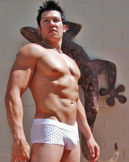 NDS Golden Stars Mini Boxer-NDS Wear-NDS WEAR-NDS WEAR