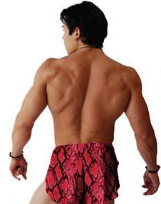 Open Side Printed Shorts-NDS Wear-NDS Wear-Small-Pink Snake-NDS WEAR