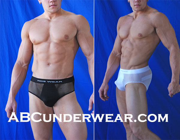 Seamless Microfiber Mesh Underwear - FLASH SALE-NDS Wear-NDS WEAR-NDS WEAR