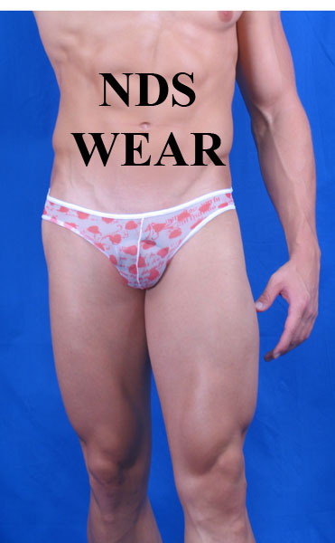Sheer Hearts Bikini-NDS Wear-NDS WEAR-NDS WEAR