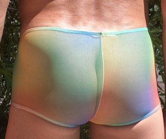 Sheer Rainbow Short-NDS Wear-NDS WEAR-NDS WEAR