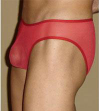 Sheer Roja Bikini Underwear-NDS Wear-NDS WEAR-NDS WEAR