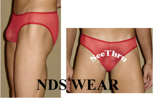 Sheer Roja Bikini Underwear-NDS Wear-NDS WEAR-NDS WEAR