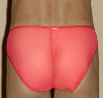 Sheer Roja Bikini Underwear-NDS Wear-NDS WEAR-Small-Red-NDS WEAR