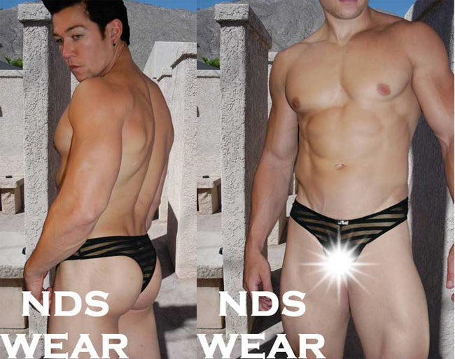 Shop Leo Sheer Stripe Thong - A Stylish and Comfortable Addition to Your Lingerie Collection-Mens Thong-Nds Wear-NDS WEAR
