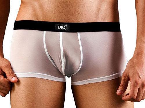 Tease Trunk by DIQ - Sheer Men's Underwear-NDS Wear-DIQ Wear-Small-White/Black-NDS WEAR