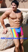 Vibrant Squarecut Swimsuit in a Multitude of Colors-NDS Wear-NDS WEAR-Small-Rainbow-NDS WEAR