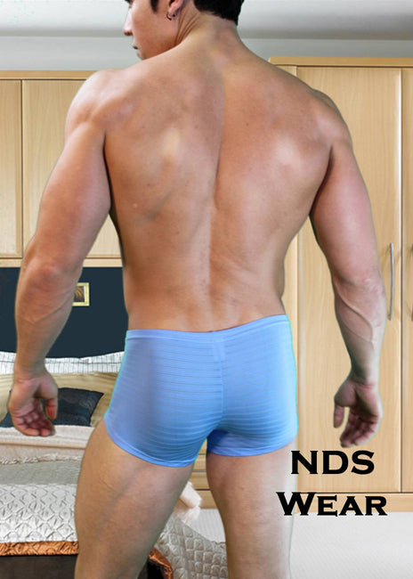 Blue NDS Sheer Stripe Boxer-NDS Wear-Nds Wear.com-NDS WEAR