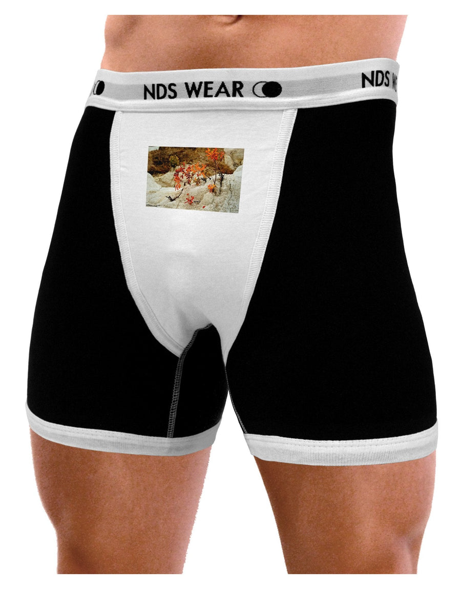 CO Painted Mines Mens Boxer Brief Underwear-Boxer Briefs-NDS Wear-Black-with-White-Small-NDS WEAR