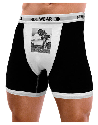 Colorado Landscape Monochrome Mens Boxer Brief Underwear-Boxer Briefs-NDS Wear-Black-with-White-Small-NDS WEAR