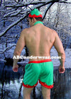 Man's Elf Costume, Sexy Holiday Wear for Men-Costume-NDS Wear-One Size-NDS WEAR