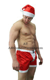 Man's Holiday Boxer Set Sexy Santa for Men-Mens Costume-NDS Wear-One Size-Red-NDS WEAR