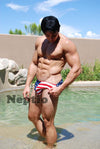 Men's Swim Bikini Swimsuit featuring the American Flag's Stars & Stripes-Mens Bikini Swimsuit-NDS Wear-NDS WEAR