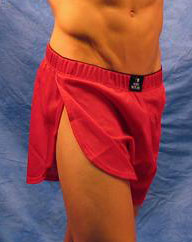 Mesh Split Shorts-shorts-nds wear-Small-Black-NDS WEAR
