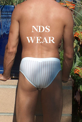 Microfiber Sheer White Stripe Brief-Mens Brief-NDS WEAR-NDS WEAR
