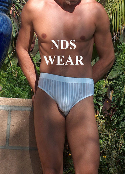 Microfiber Sheer White Stripe Brief-Mens Brief-NDS WEAR-Small-NDS WEAR