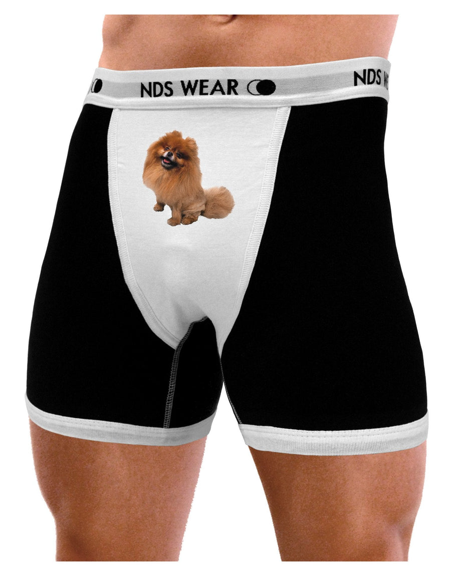 Pomeranian Sitting All Cute-Like Mens Boxer Brief Underwear-Boxer Briefs-NDS Wear-Black-with-White-Small-NDS WEAR