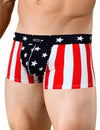 Premium Neptio USA Flag Swimsuit Brief Trunk for Men - Embrace American Pride in Style-Swimsuit-Neptio-NDS WEAR