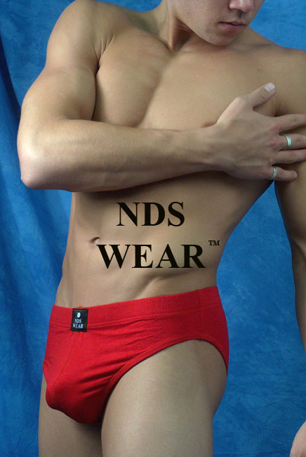 Rayon-Spandex Brief-Mens Brief-nds wear-Small-Black-NDS WEAR