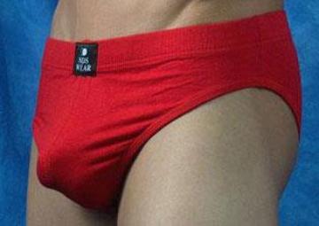 Rayon-Spandex Brief-Mens Brief-nds wear-Small-Black-NDS WEAR