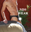 Sheer Men's Underwear Net Pouch Bikini - FLASH SALE-NDS Wear-nds wear-Small-Black-NDS WEAR