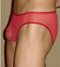 Sheer Roja Bikini Underwear-NDS Wear-NDS WEAR-Small-Red-NDS WEAR