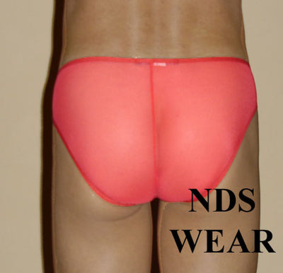 Sheer Roja Bikini Underwear-NDS Wear-NDS WEAR-Small-Red-NDS WEAR