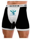 Team Harmony Mens Boxer Brief Underwear-Boxer Briefs-NDS Wear-Black-with-White-Small-NDS WEAR