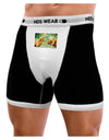 Two Bighorn Rams Watercolor Mens Boxer Brief Underwear-Boxer Briefs-NDS Wear-Black-with-White-Small-NDS WEAR