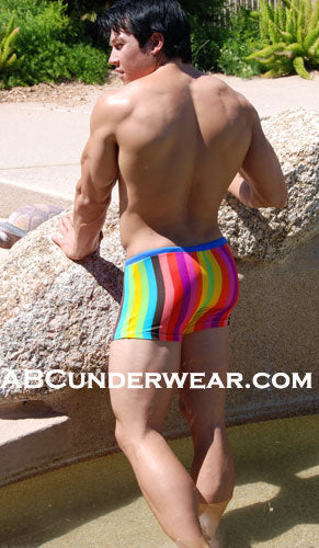 Vibrant Squarecut Swimsuit in a Multitude of Colors-NDS Wear-NDS WEAR-Small-Rainbow-NDS WEAR